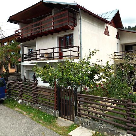 Vila Nik Buşteni Exteriör bild