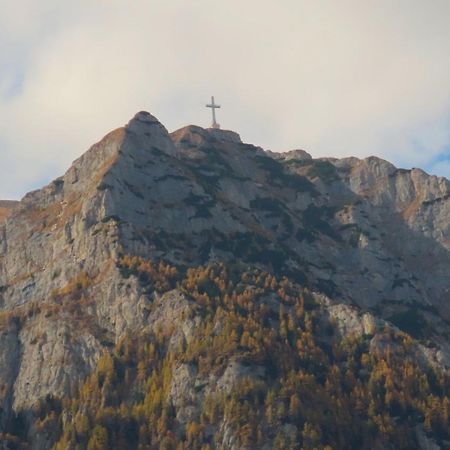 Vila Nik Buşteni Exteriör bild