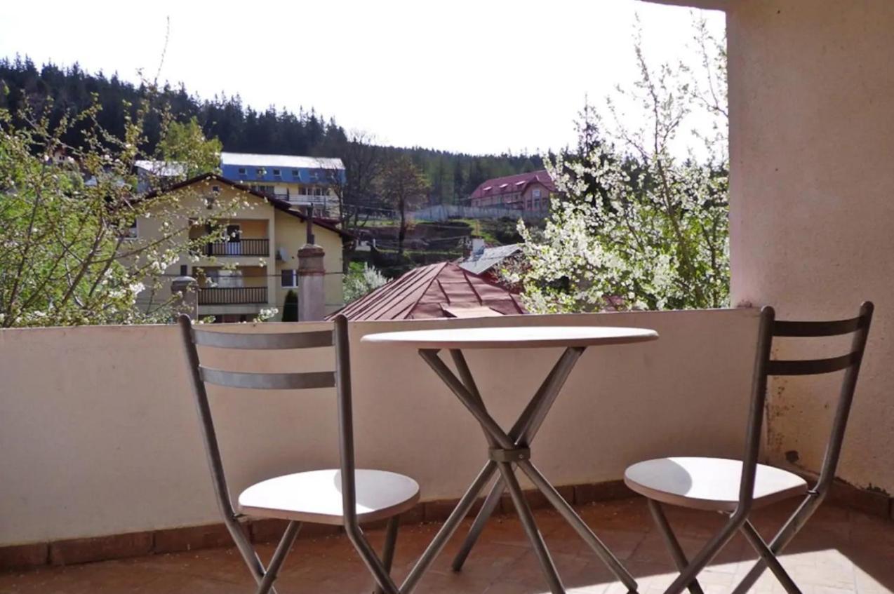 Vila Nik Buşteni Exteriör bild