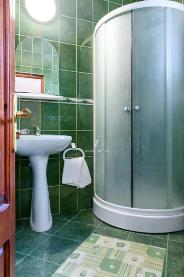 Vila Nik Buşteni Exteriör bild