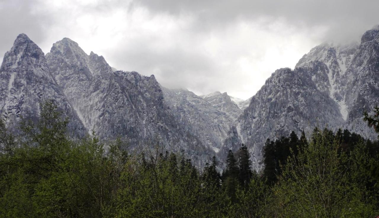 Vila Nik Buşteni Exteriör bild