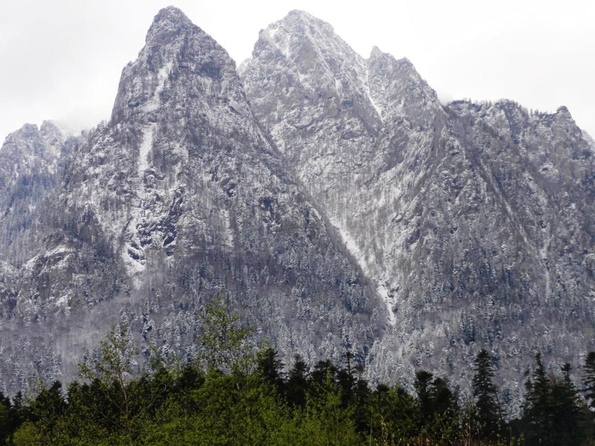 Vila Nik Buşteni Exteriör bild