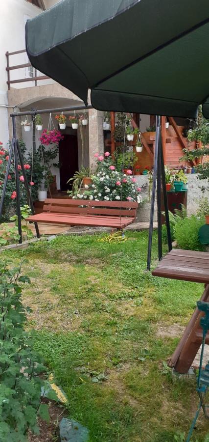 Vila Nik Buşteni Rum bild