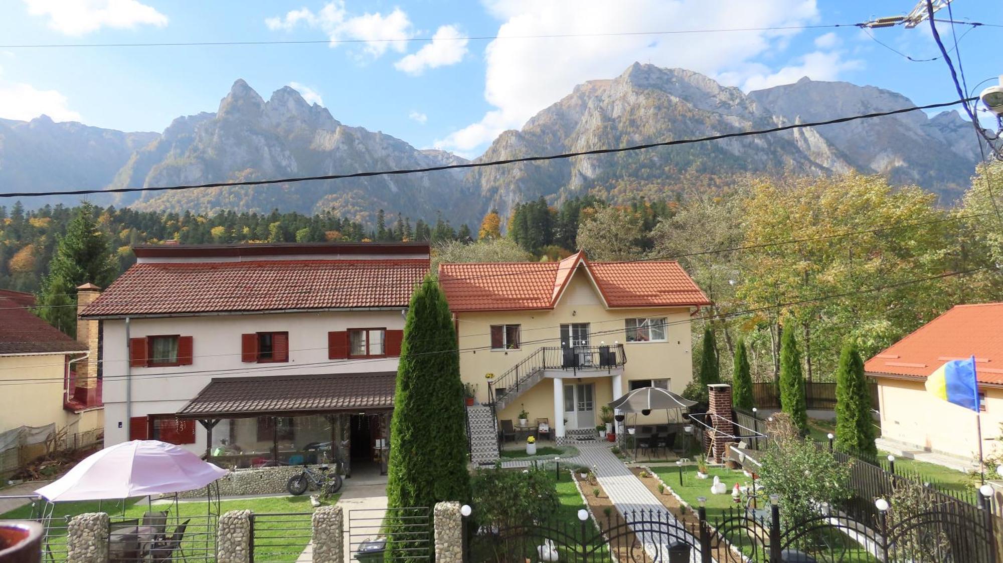 Vila Nik Buşteni Exteriör bild
